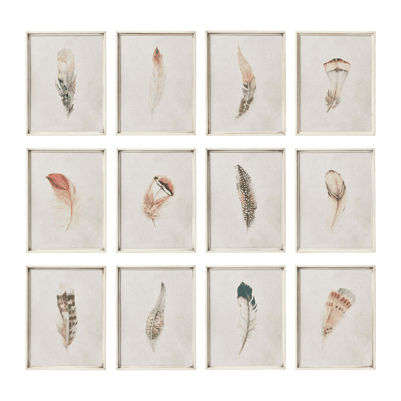 Feather Set of 12 framed prints, H31 x W24cm