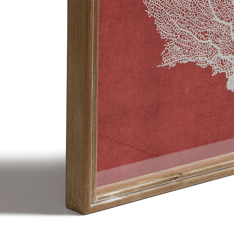 Skeleton Coral Set of 4 Prints, Red / White
