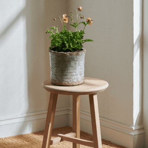 Image showing the Broseley Small pot, H16 x Dia18cm, Moss product.