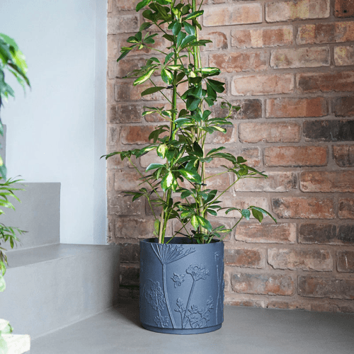 Image showing the Kew Eclectic Orangery Stoneware Meadow Planter, D18cm, Blue product.