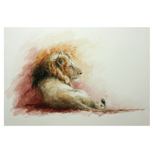 Image showing the Mara Lion Mounted Print product.