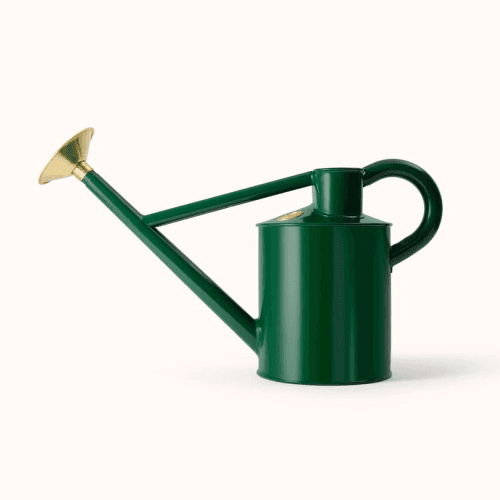 Image showing the The Bearwood Brook Outdoor Watering Can, 1 Gallon, Green product.