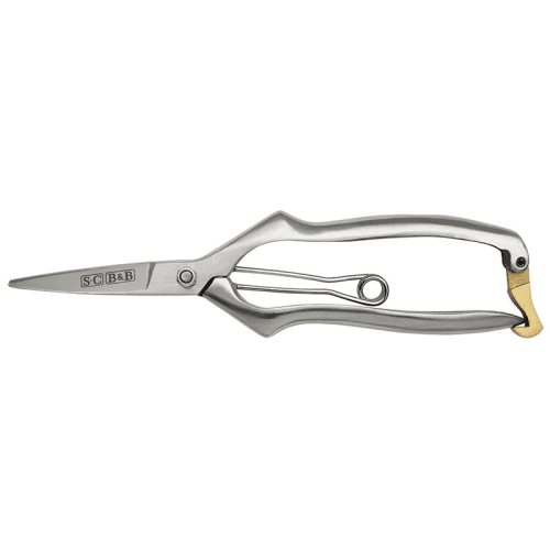 Image showing the Boxed Precision Secateurs, Stainless Steel product.