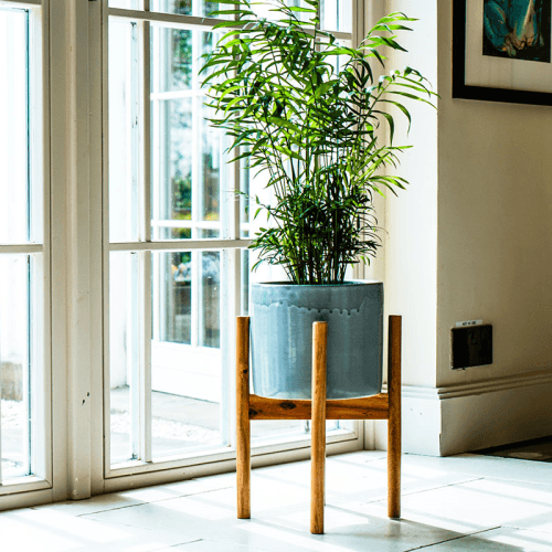 Image showing the Anzio Planter with stand, D24cm, Warm Grey product.
