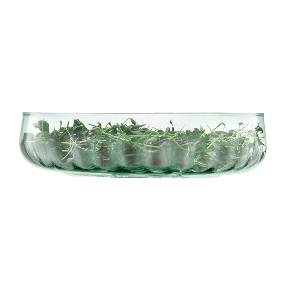 Mia Low Bowl Recycled Part Optic 31cm, Clear