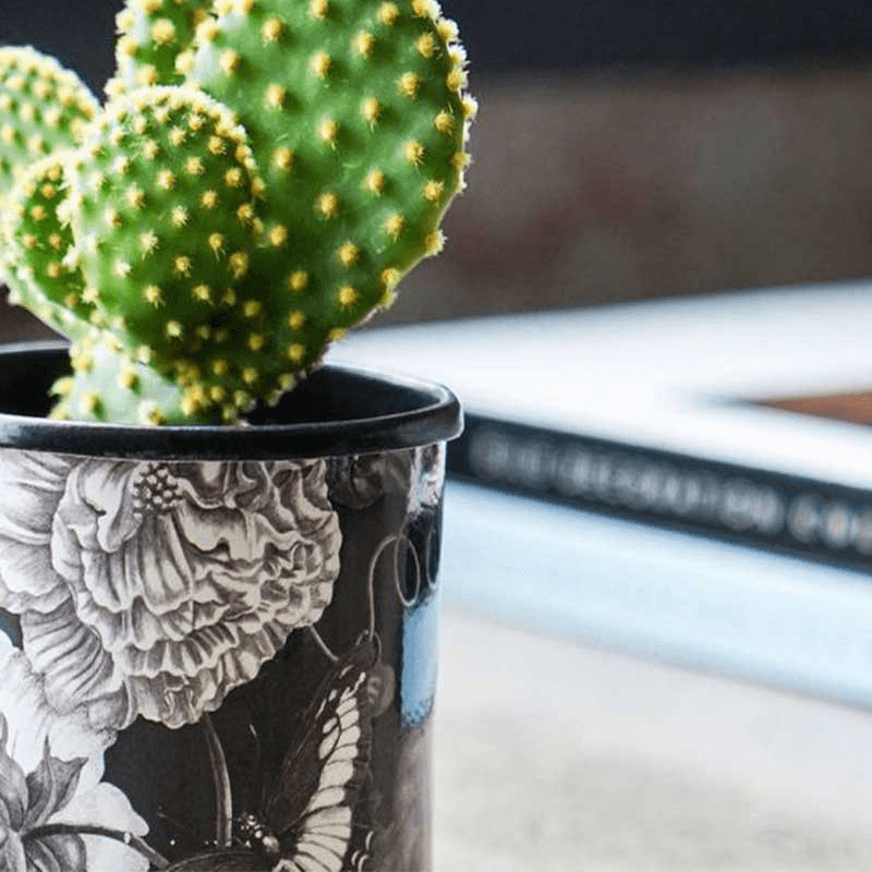 Kew Eclectic Orangery Noir Planter With Saucer, D13cm, Black/Grey