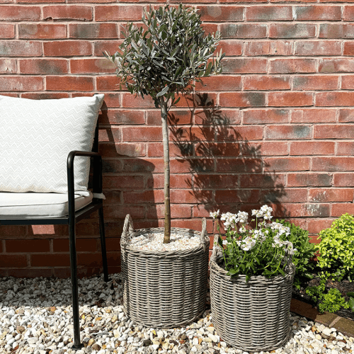 Image showing the Polyrattan Set of 2 Planters, Natural product.