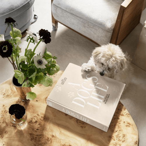 Image showing the A Dog's Life Dog Photo Album, Beige product.
