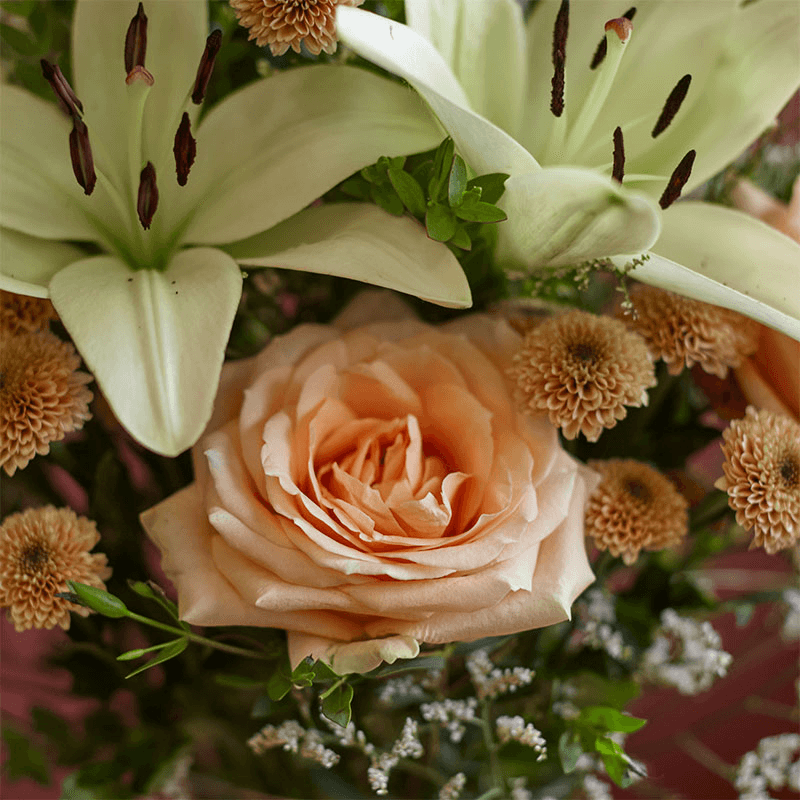 Classic 6 Month Flower Subscription and Bespoke Vase