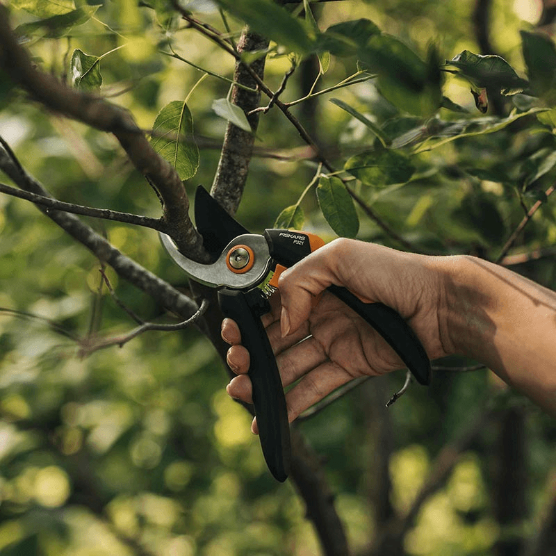 Solid Bypass Pruner Medium P321, Black/Orange/Silver