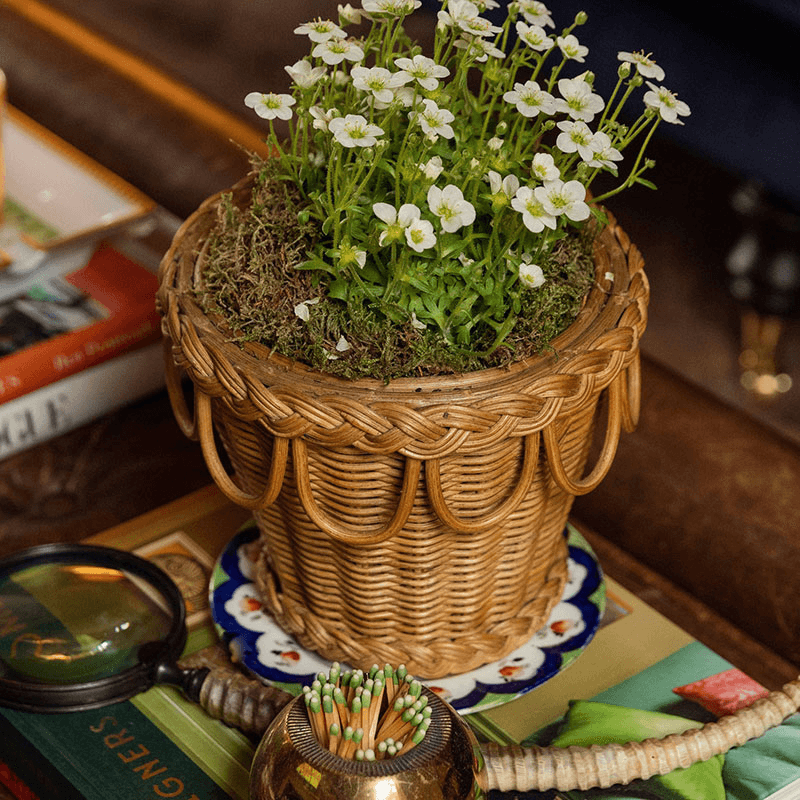 Rattan Plant pot, D18cm, Natural Rattan