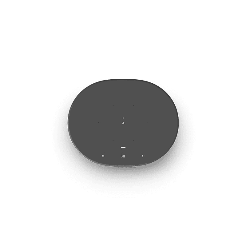 Move Wireless Smart Speaker, Black