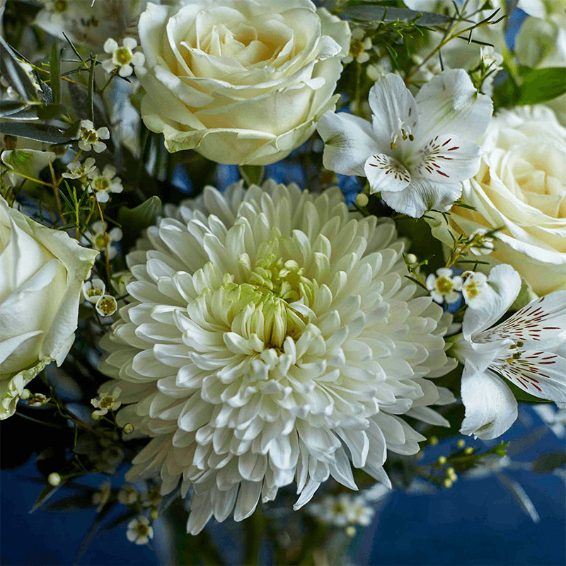 Classic 6 Month Flower Subscription and Bespoke Vase