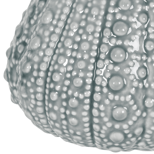 Image showing the Urchin Jug, Grey product.