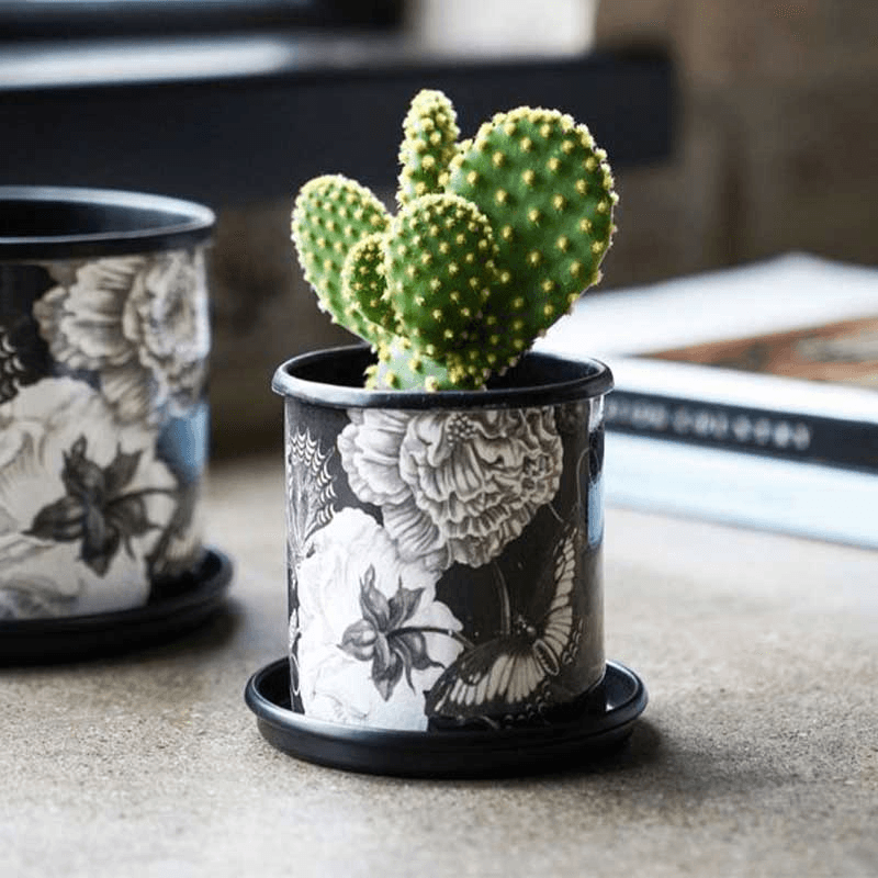 Kew Eclectic Orangery Noir Planter With Saucer, D13cm, Black/Grey