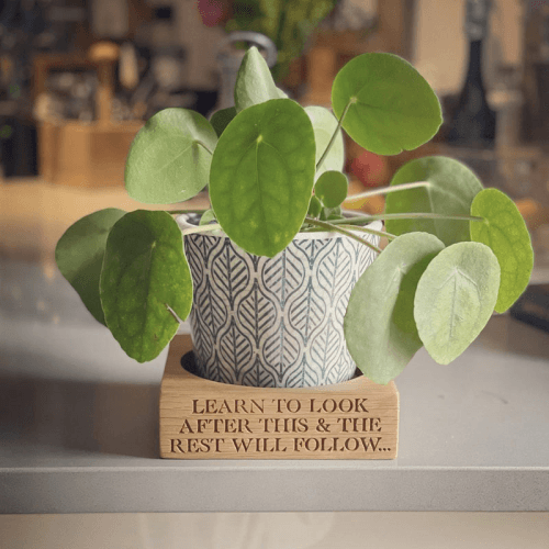 Image showing the Personalised House Plant Pot Stand, Oak product.