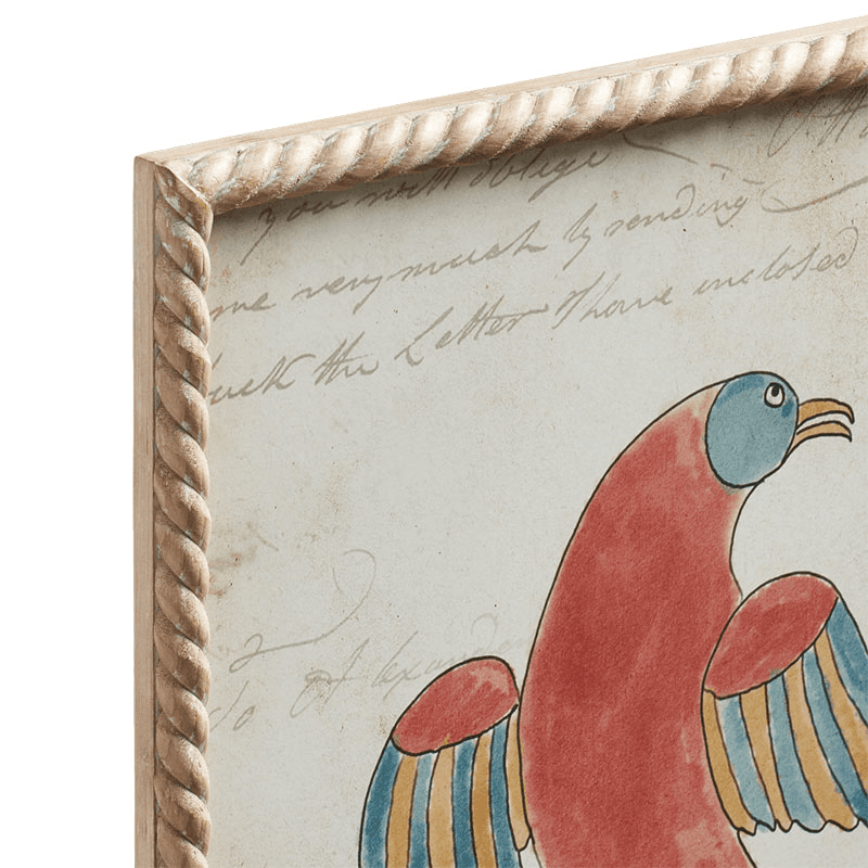 Carara Bird Set of 4 Framed Prints, H60cm x W50cm x D3cm, Multi