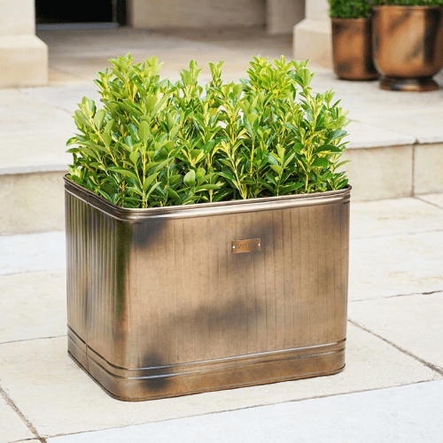 Image showing the Hampton Planter, D50cm, Copper product.