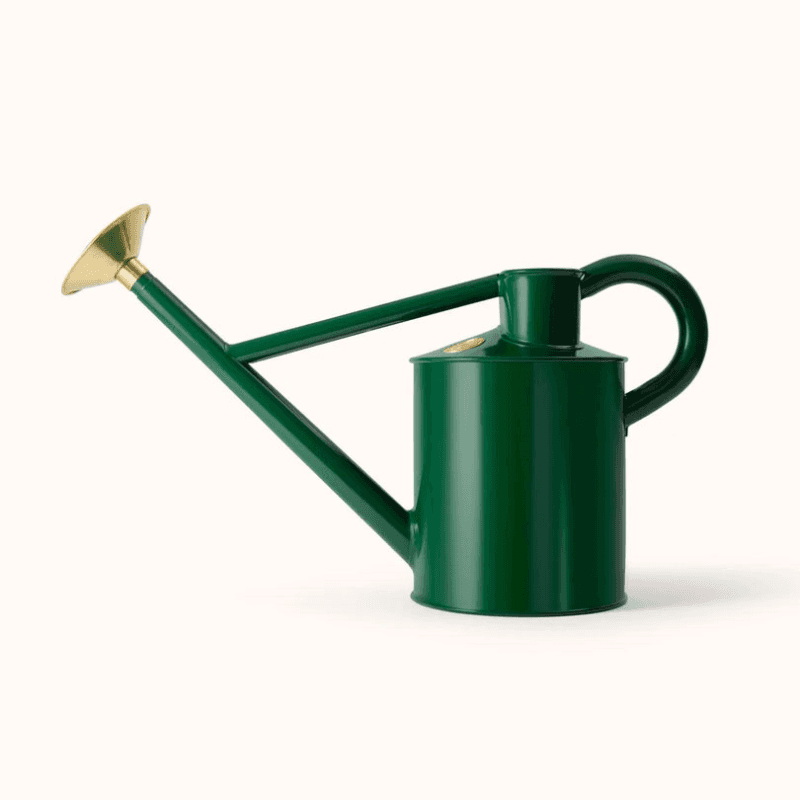 The Bearwood Brook Outdoor Watering Can, 1 Gallon, Green