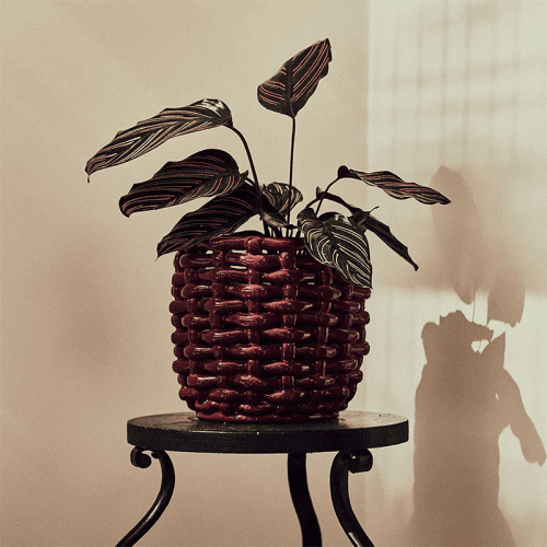 Image showing the Juicy Basketweave Planter, D18cm, Burgundy product.