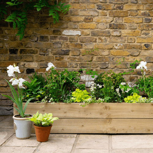Image showing the £50 Dig Club Voucher product.