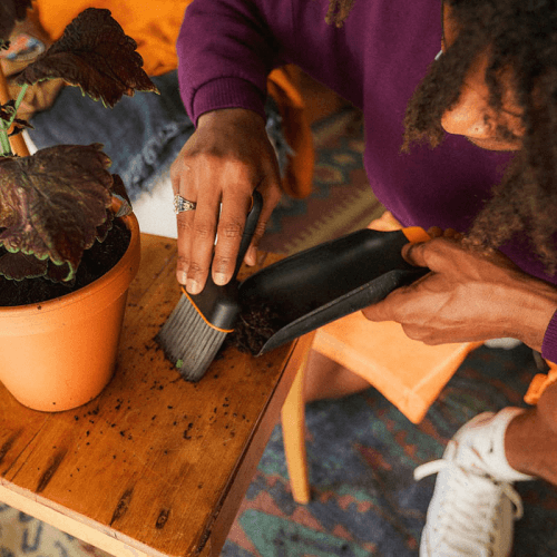 Image showing the Urban Gardening 2-in-1 soil Scoop and Brush, H27 x L4.8 x W9.5cm, Black product.