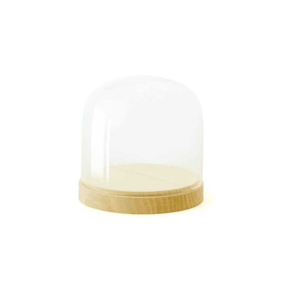 Pleasure Dome Small display case, W12.5 x H13cm, Beech