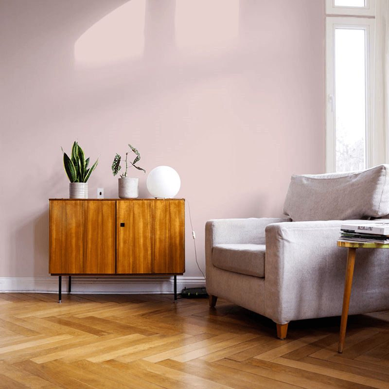 Percy Flat Matt Wall & Ceiling Paint, 2.5L, Pink