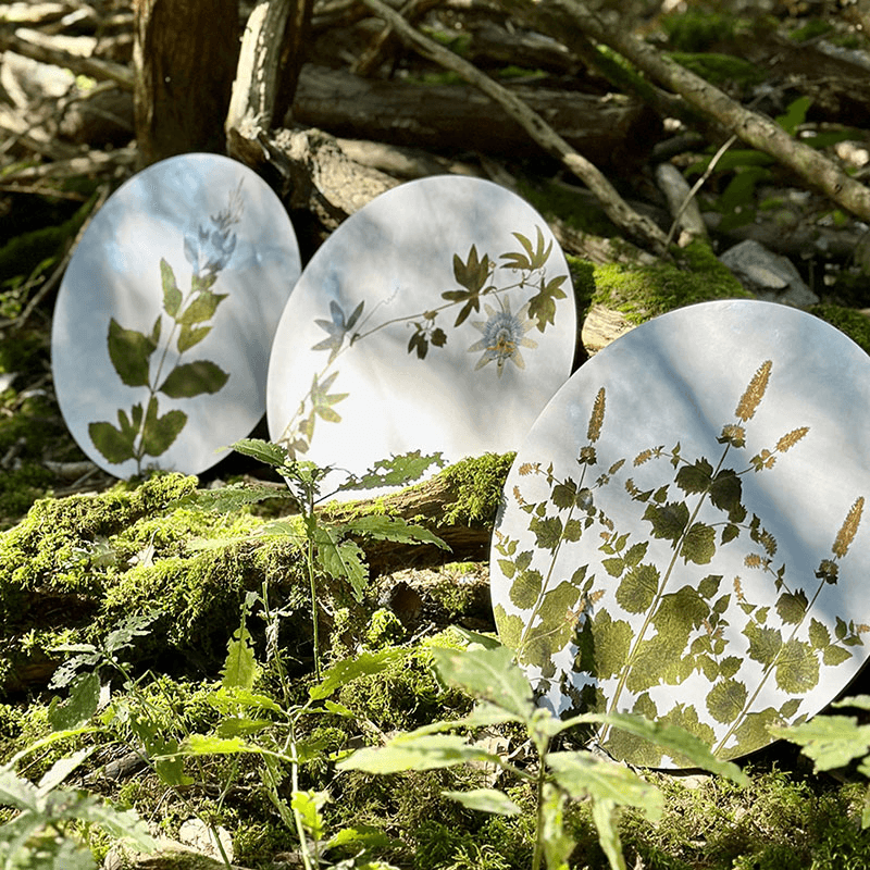 Herbarium Set of 4 Round Placemats, D34cm, Green