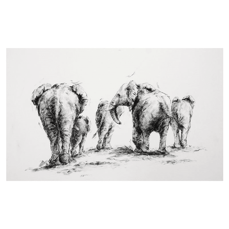 Elephant Brigade Mounted Print