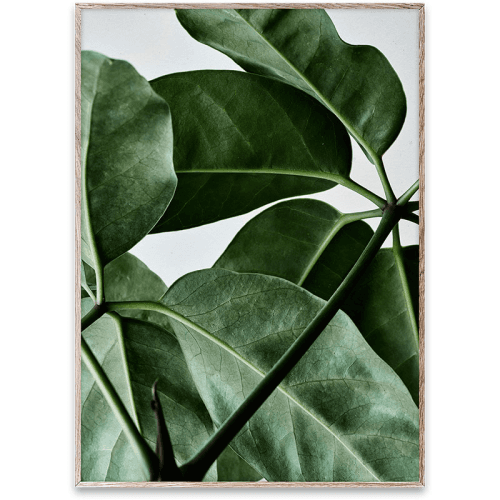 Image showing the Green Home 01 Print, 30 x 40cm, Multi product.