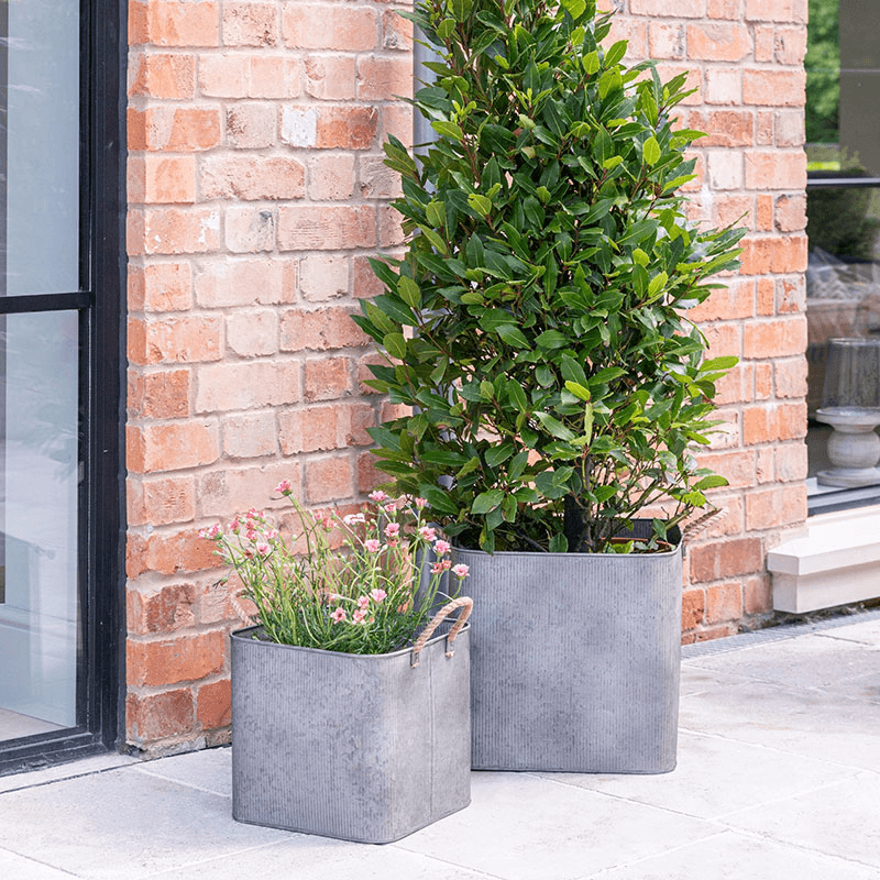 Galvanised Set of 2 Rope Handle Square Planters, Grey