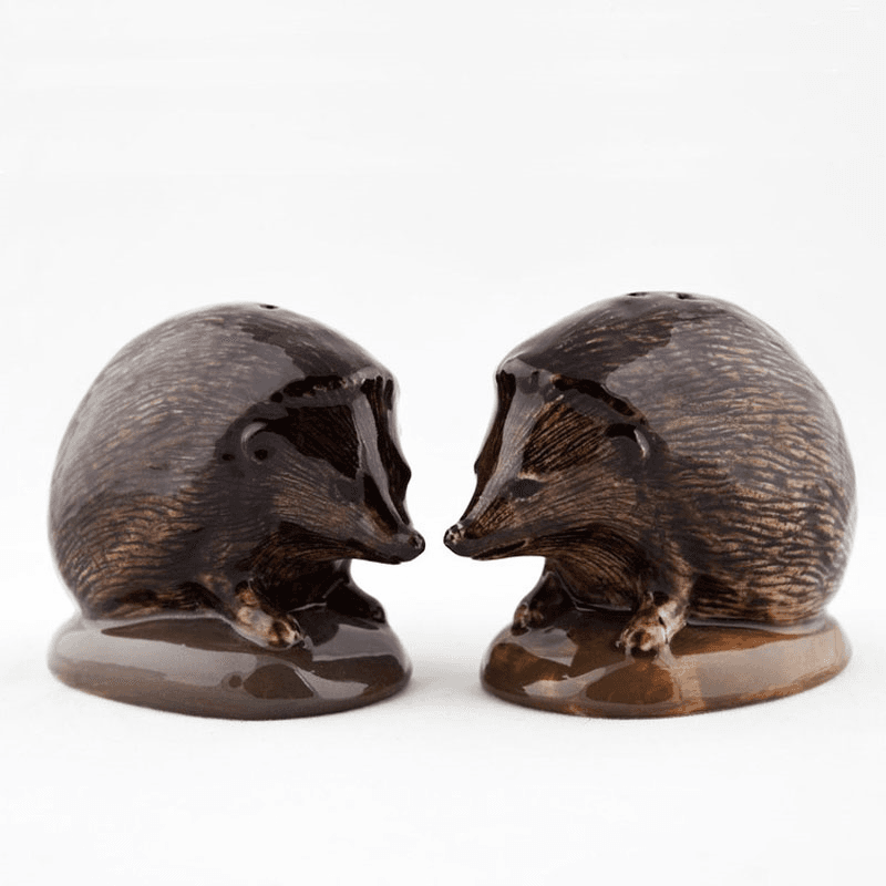 Hedgehog Salt & Pepper Shakers, H5.5cm, Brown