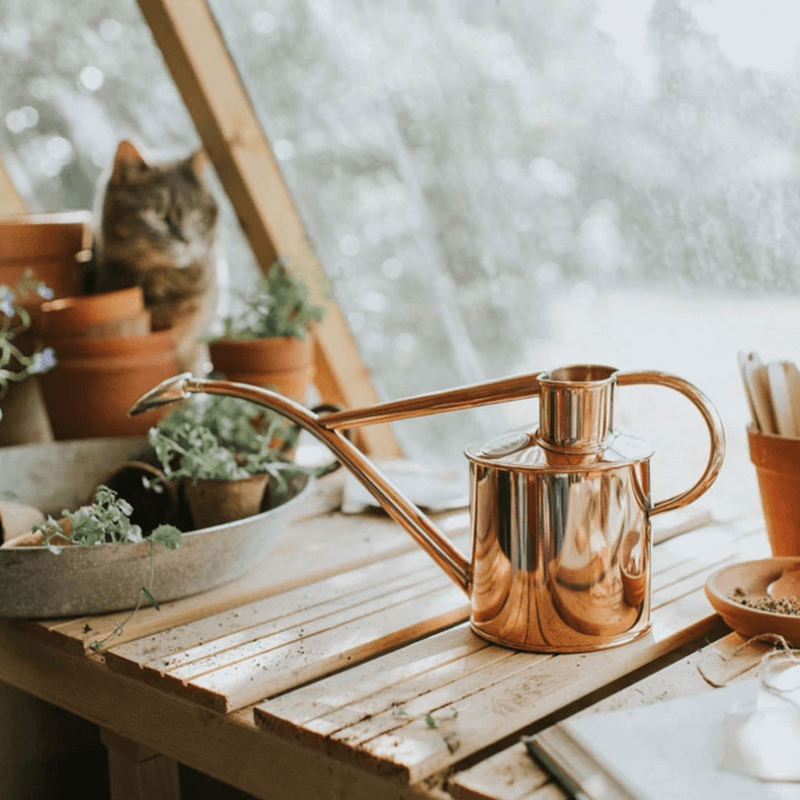 The Rowley Ripple & Smethwick Spritzer Watering Can & Sprayer Gift Set, 1L, Copper