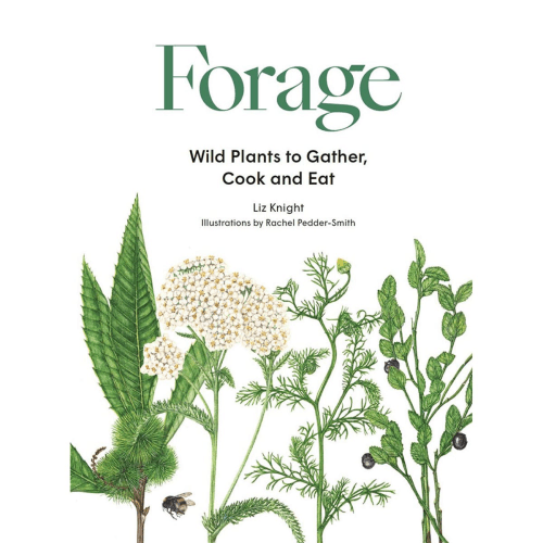 Image showing the Forage: Wild Plants to Gather and Eat Liz Knight product.