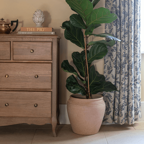 Image showing the Rhea Planter, D32cm, Terracotta product.