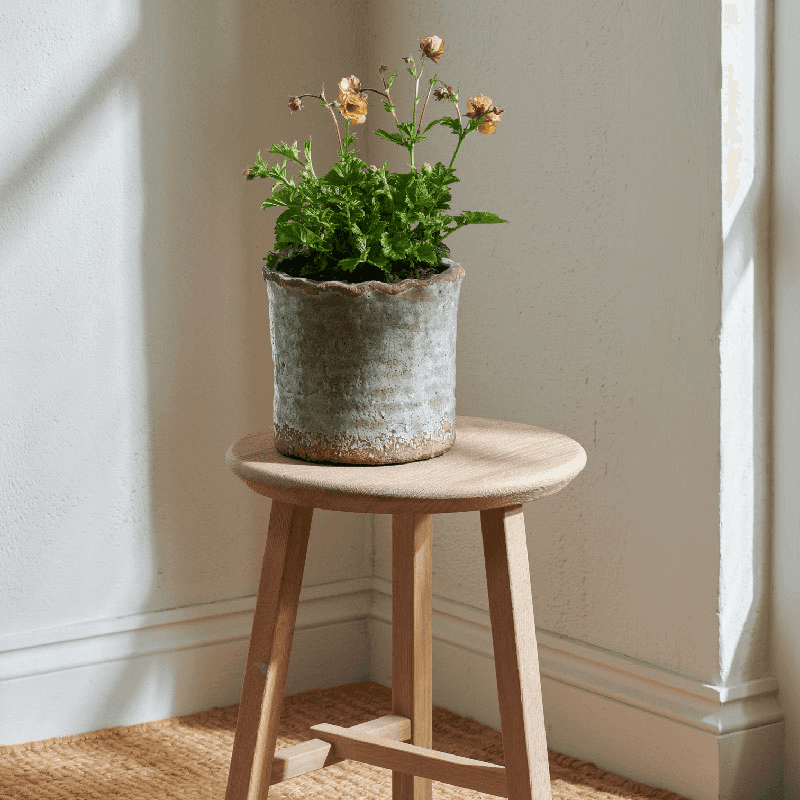 Broseley Small pot, H16 x Dia18cm, Moss