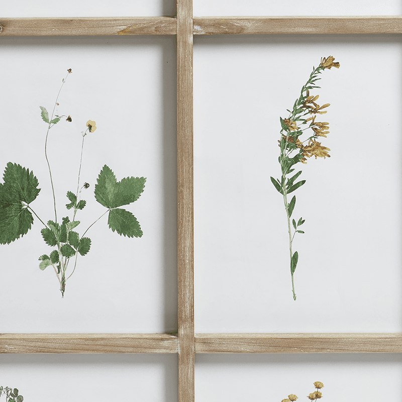 Set of Twelve Framed Pressed Flower Prints, Natural