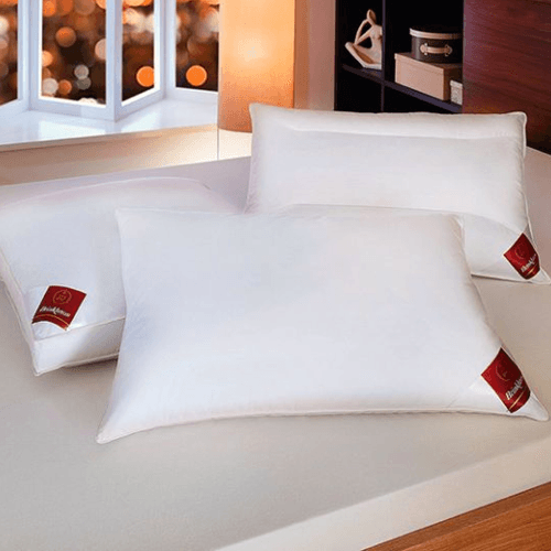 Image showing the The Premier Pillow, 50 x 75cm, White product.
