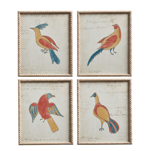 Image showing the Carara Bird Set of 4 Framed Prints, H60cm x W50cm x D3cm, Multi product.