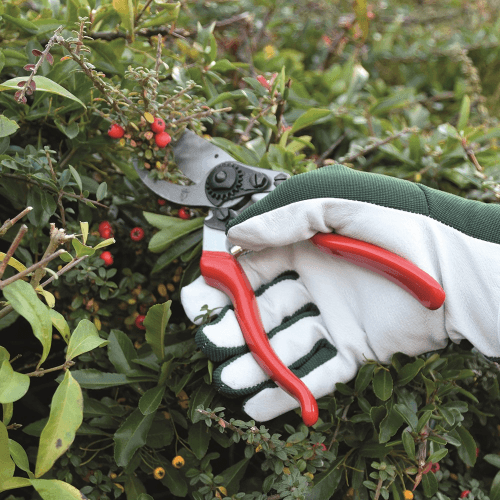 Image showing the Leather palm gloves, large, Green/White product.