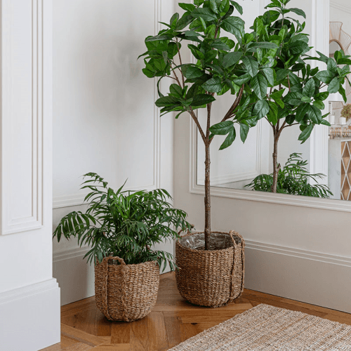 Image showing the Tenno Set of 3 Baskets, Natural product.