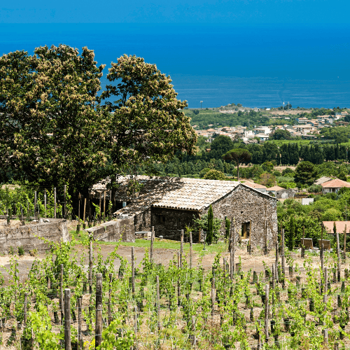 Image showing the Gift Voucher towards one night at The Monaci delle Terre Nere for two, Sicily product.