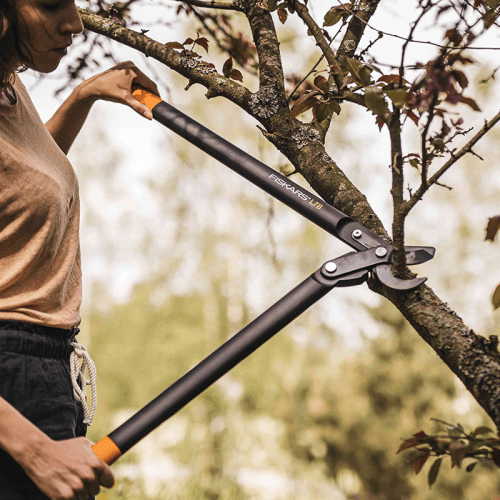 Image showing the PowerGear Hook Head Bypass Lopper, L75 x W22.5cm, Black and Orange product.