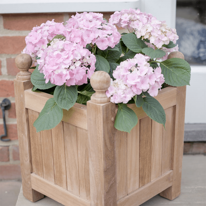 Square Planter, 45cm