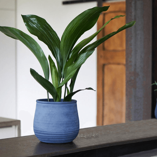 Image showing the Handthrown Planter, D19cm, Azurite product.