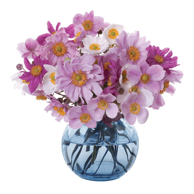 Florabundance Anemone Vase, H12.5cm, Ink