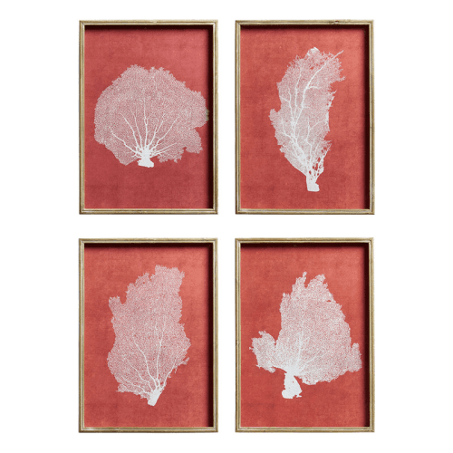 Image showing the Skeleton Coral Set of 4 Prints, Red / White product.