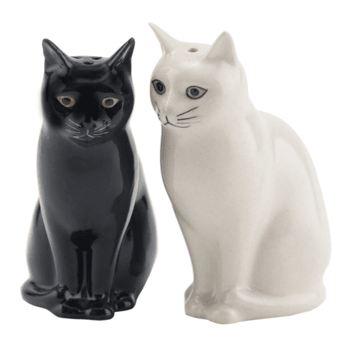 Image showing the Daisy & Lucky Salt & Pepper Shakers, H8.5cm, Black/White product.