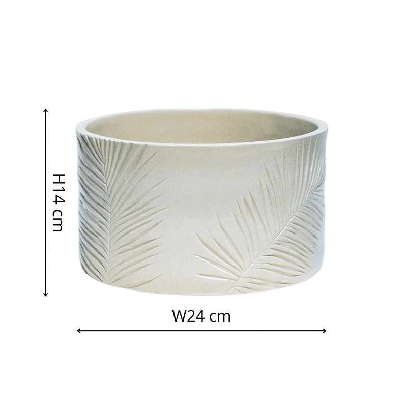 Kew Botanical Retreat Stoneware Sago Palm Bowl, D24cm, Cream